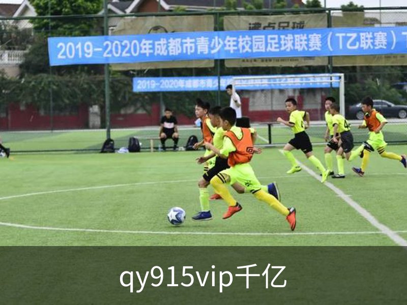 qy915vip千亿介绍